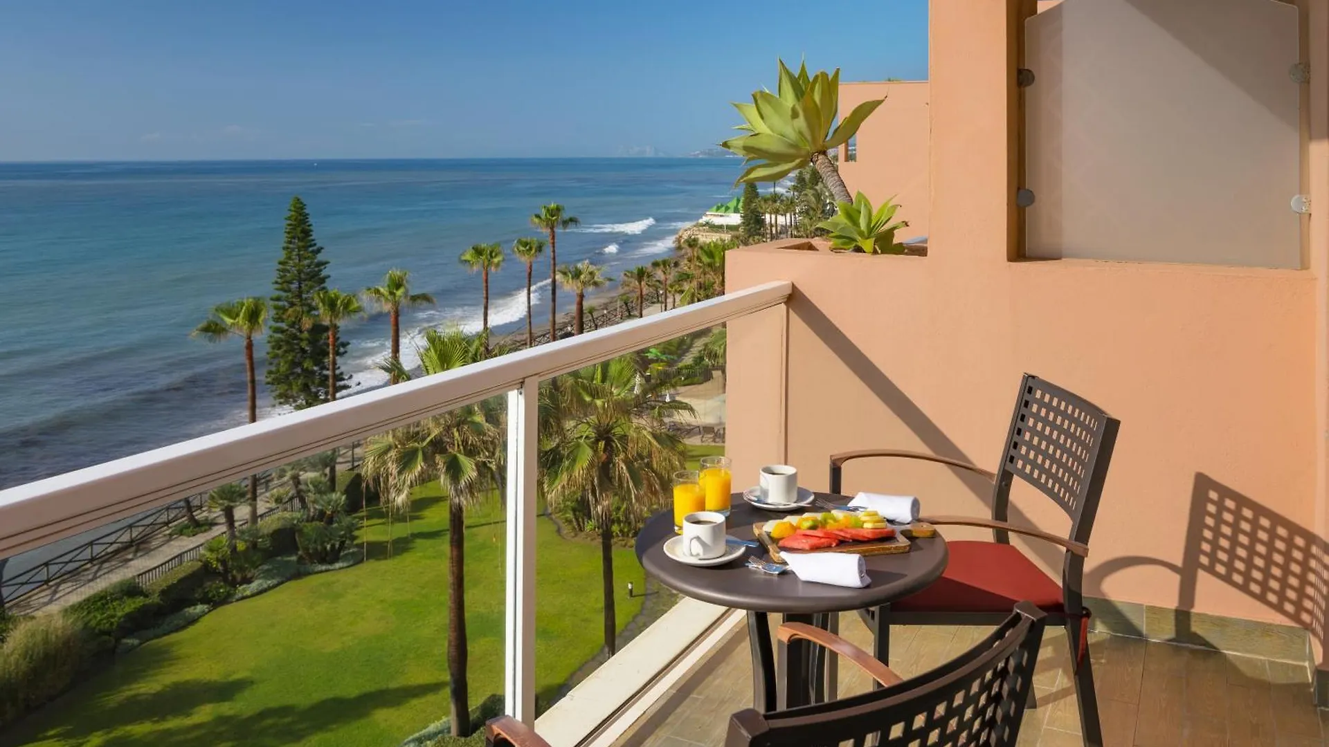 Elba Estepona Gran Hotel & Thalasso Spa 5*,