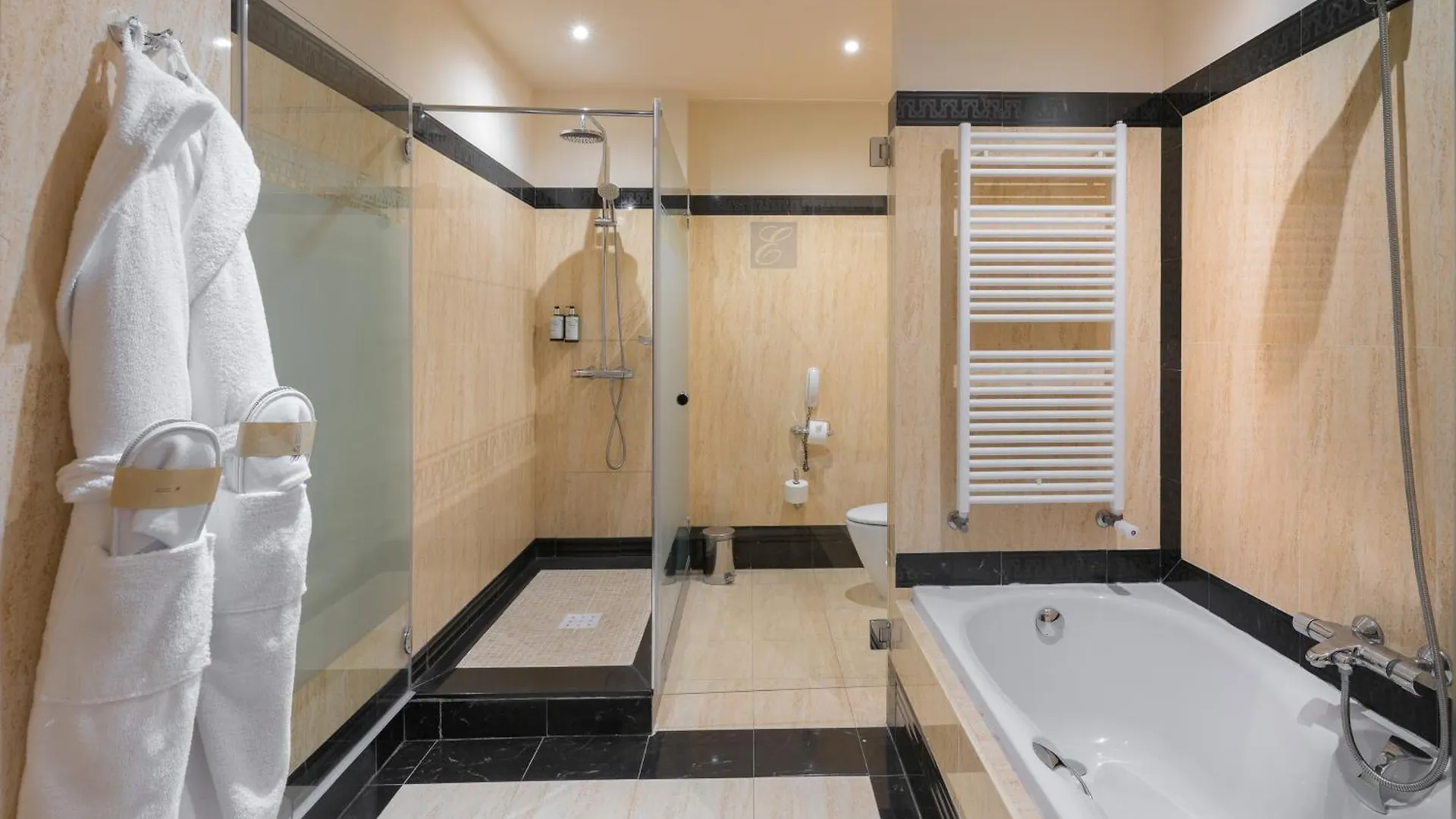 Elba Estepona Gran Hotel & Thalasso Spa