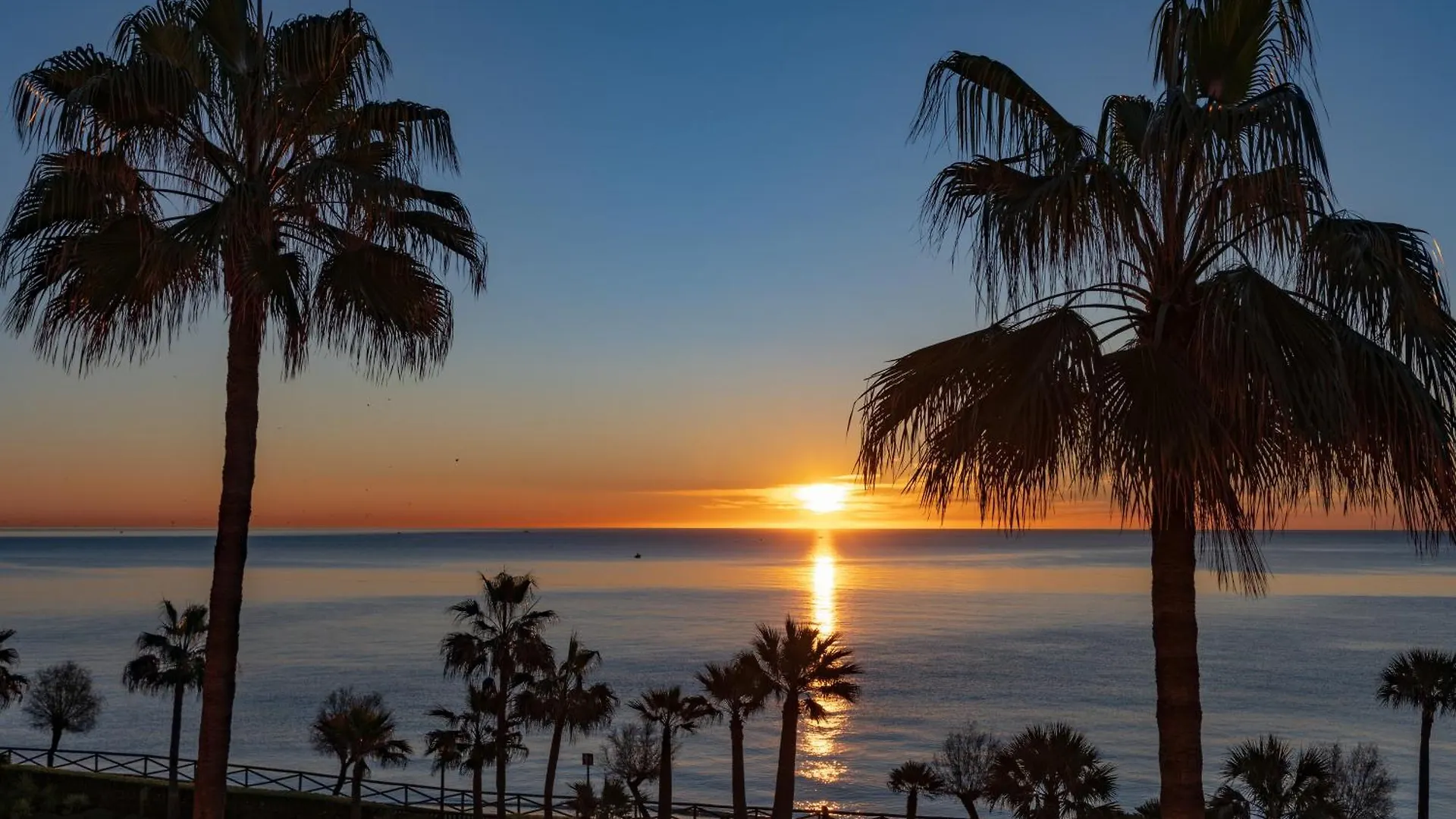 Elba Estepona Gran Hotel & Thalasso Spa 5*,